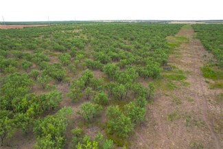 100+/- Ac TBD Highway 6, Lueders, TX 79533