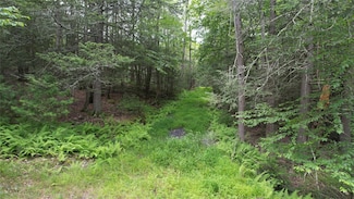 141 Brandt Rd, Deerpark, NY 12729