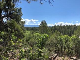 188 White Tail Ln Unit 139, Ridgway, CO 81432