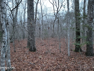 20 Cross Dr, Monterey, TN 38574