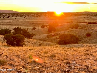 0 Woodland Valley Ranch 36 Acres Unit 254794, St. Johns, AZ 85936