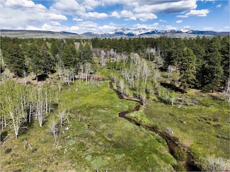 TBD Fs Road 386, Mancos, CO 81328