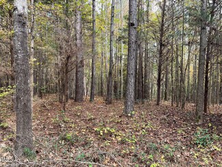 0 Hugh Davis Rd, Warrenton, NC 27589