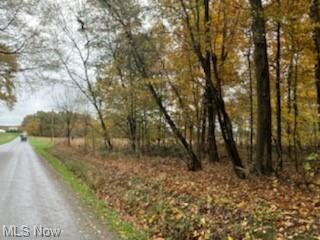 0 Ely Rd, Apple Creek, OH 44606