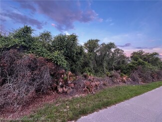 2983 N Tivoli Rd, Avon Park, FL 33825