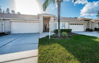 1553 Arlington Oaks Ct, Trinity, FL 34655