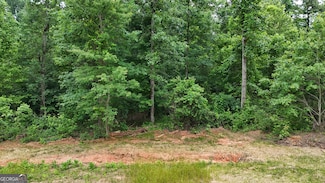 2.4 ACRES Garrison Rd, Cornelia, GA 30531