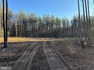 0 Clarkes Store Rd Unit VAES2002004, Caret, VA 22436