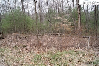 Lot 68 Forest Hill Dr, Sparta, NC 28675