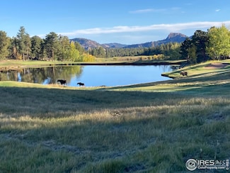 3020 Lake Arapahoe Ct, Red Feather Lakes, CO 80545