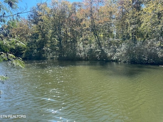 203 Blue Heron Dr, Harriman, TN 37748