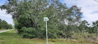 0 Oleander Dr Unit MFRTB8393069, Indian Lake Estates, FL 33855