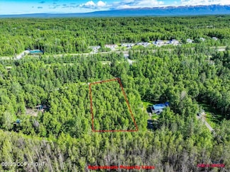 5601 Cape Birch Dr, Knik-Fairview, AK 99654