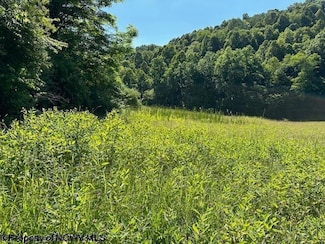 326 Joes Run Rd, Mannington, WV 26582