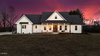 12065 Waterhouse Ln, Meadowview, VA 24361