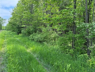 000 Winter Sports Rd, Grover, WI 54497