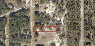 TBD & TBD SW Deepwater Ct, Dunnellon, FL 34431