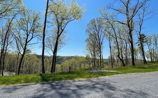 53 Jake's Landing Way, Ellijay, GA 30540