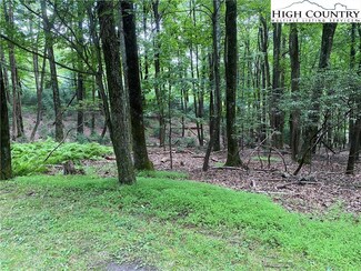 TBD Wildwood Ln, Roaring Gap, NC 28668