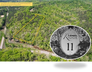 0 Ridgeline Rd Unit LotWP001 20547006, Talking Rock, GA 30175