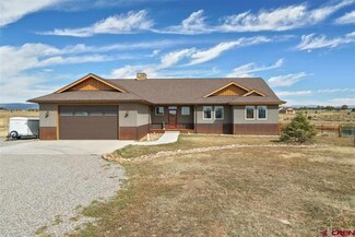 0 Fork Horn Ct Unit 769665, Durango, CO 81303