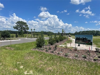 0 38529 Wooded Meadow Dr Unit MFRS5108991, Umatilla, FL 32784