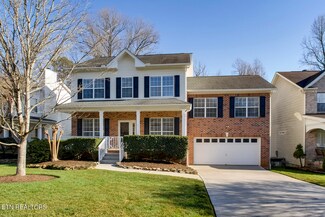 8116 Robins Nest Ln, Knoxville, TN 37919
