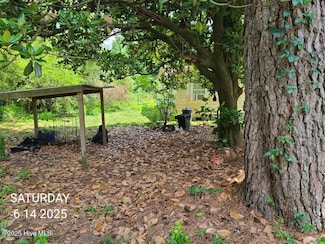 48 Nelson St, Rose Hill, NC 28458