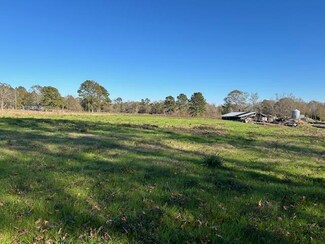 311 Lawrence Reid Rd, Tylertown, MS 39667