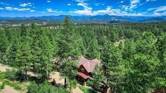 207 La Tierra Ct, Pagosa Springs, CO 81147
