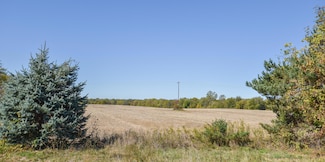 0 Brocklebank Rd, Quincy, MI 49082