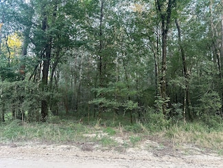 2103 Jenkins Rd, Coldspring, TX 77331