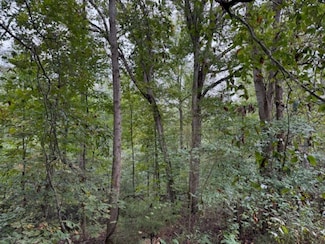 19.3 County Road 200, Danville, AL 35619