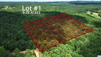 0 Pinetuckey Ln Unit 7, Heflin, AL 36264