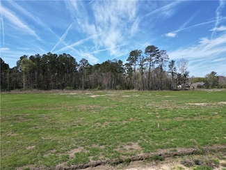 24755 Lot A-4 442 Hwy, Independence, LA 70443