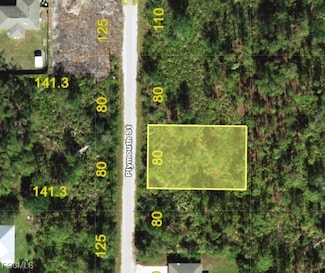 3254 Plymouth St, Port Charlotte, FL 33980