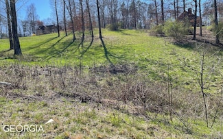 LOT 16 Burnette Rd N, Blairsville, GA 30512