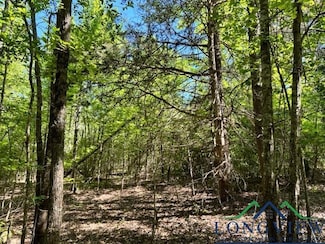 TBD Phillips Springs Rd, Gladewater, TX 75647