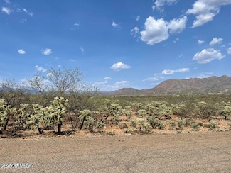 2041 Birch Ct Unit 43, Rio Rico, AZ 85648
