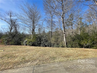 SH11 Springhouse Trail, Brevard, NC 28712
