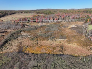 0 Guthrie Rd, Markleysburg, PA 15459