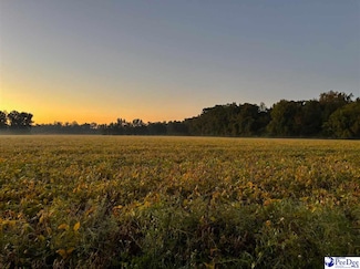 2018 Timmons Rd, Effingham, SC 29541