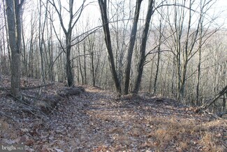 27.53 Acres Hickory Tree Rd, Moorefield, WV 26836