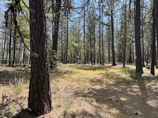 54 W Ponderosa Dr, Goldendale, WA 98620