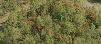 422 W Parrot Place, Citrus Springs, FL 34434