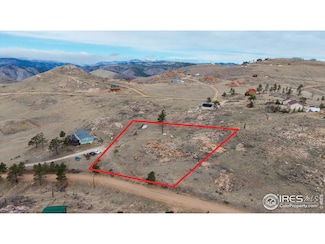 107 Mount Audubon Way, Livermore, CO 80536