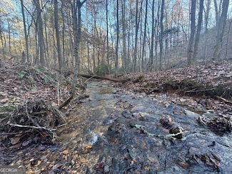 179 Vista Creek Dr, Talking Rock, GA 30175