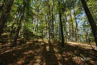 000 Little Kyger Rd, Cheshire, OH 45620