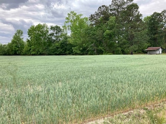 TBD Grant Dr, Pamplico, SC 29583