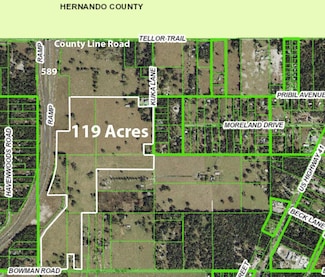 20139 Bowman Rd, Spring Hill, FL 34610